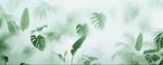 热带雨林绿植磨砂模糊雾气贴图