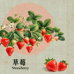 手绘草莓 
