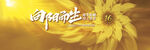 向阳而生 主题kv