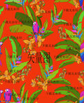 香蕉叶
