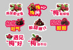 杨梅异型