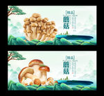 蘑菇