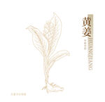 中医中药黄姜
