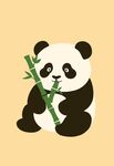 可爱熊猫抱竹憨态可掬