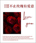 不止玫瑰有爱意