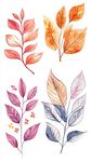 水彩风多彩植物叶片插画