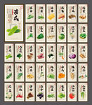 蔬菜