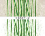杜邦纸竹子