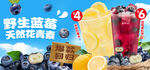 蓝莓果粒茶