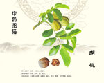 核桃胡桃