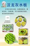 灰水板海报