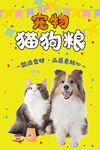 猫狗粮海报