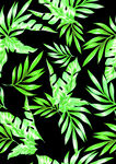 热带植物无缝