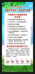 老年健康宣传周展架