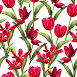 红色郁金香花卉无缝图案