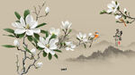 玉兰花