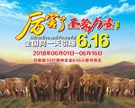 亚洲象迁徙公益活动