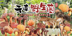 野生菌广告 