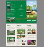  露营折页 