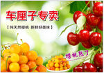 车厘子橘子等水果专卖