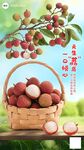 荔枝