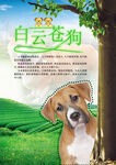 12生肖之狗海报