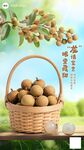 龙眼海报