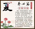 中医馆养生夏季养心篇保健沐足