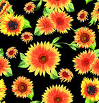 黑色背景上的绚丽向日葵图案