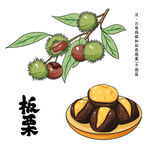 板栗插画枝头与盘中美味