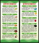 夏季养生知识展架