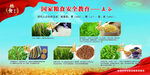 粮食安全教育