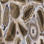 新款 奢华新传石纹 高档大图 