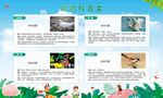 动物鸟类类科普展板