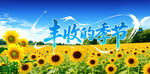 向日葵