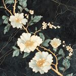 黑底花卉精美装饰图案