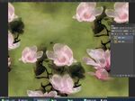 电脑屏幕上的花卉图像编辑
