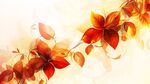 梦幻橙红色花卉背景图