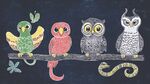 枝头萌趣鸟儿与猫头鹰