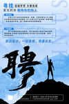 企业招聘 