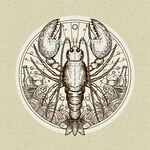 矢量复古风格龙虾插画图案