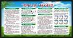 全国爱牙日宣传栏