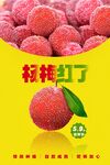 杨梅海报