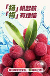 杨梅海报