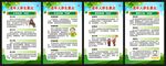 全国老年健康宣传周展板