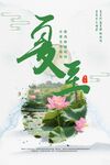 二十四节气夏日荷花海报