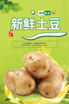 土豆