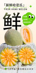 哈密瓜 
