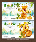 黄桃