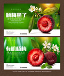 杨梅